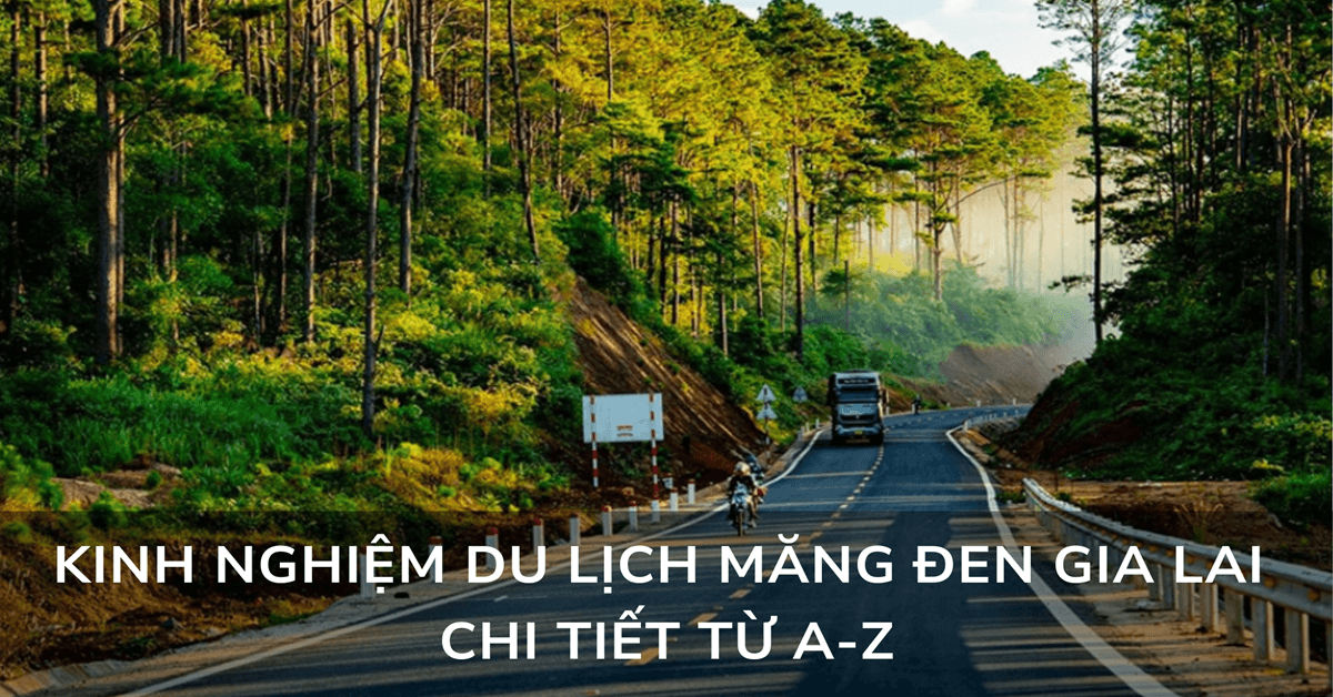 Kinh nghiệm du lịch Măng Đen Gia Lai chi tiết từ A-Z