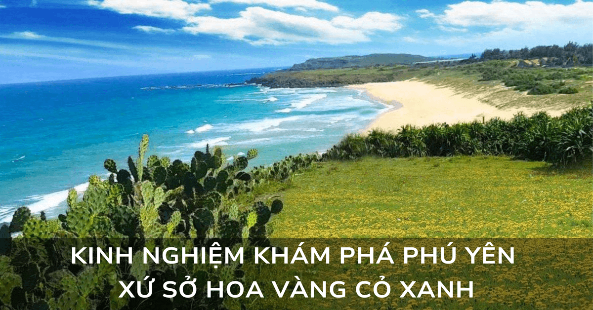 Kinh nghiệm khám phá Phú Yên xứ sở hoa vàng cỏ xanh