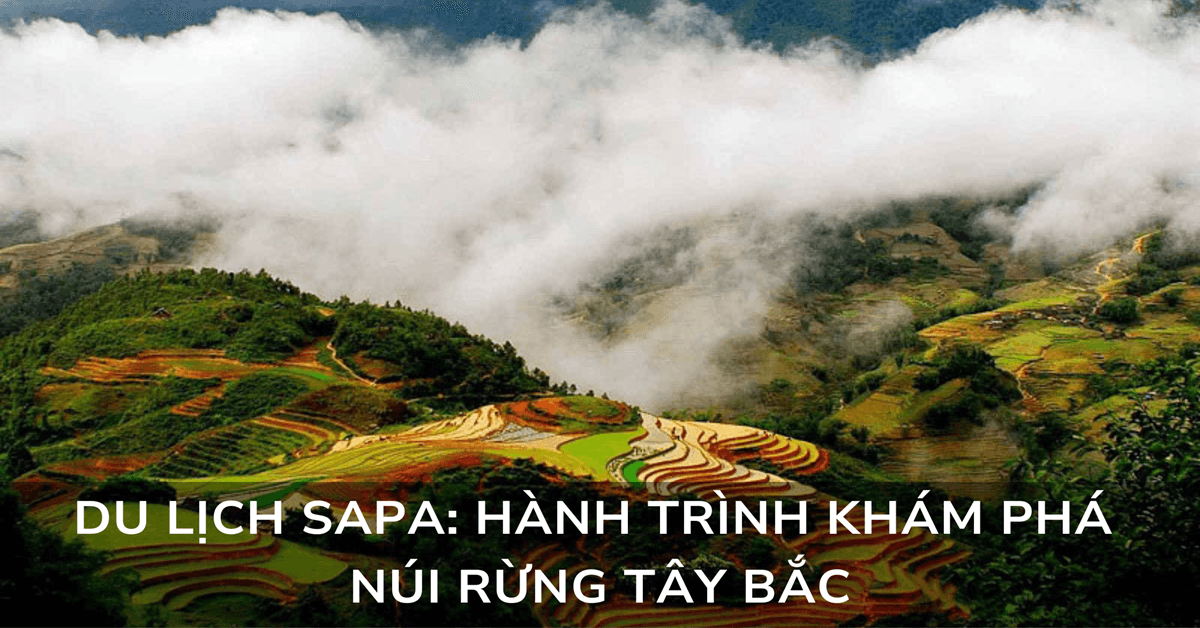 Du lịch Sapa: hành trình khám phá núi rừng Tây Bắc